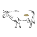 Grafik von einem Rind, wo das Hanging Tender eingezeichnet ist.
