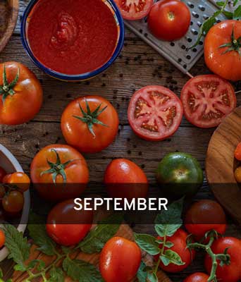 Leckere Tomaten mit der Aufschrift September
