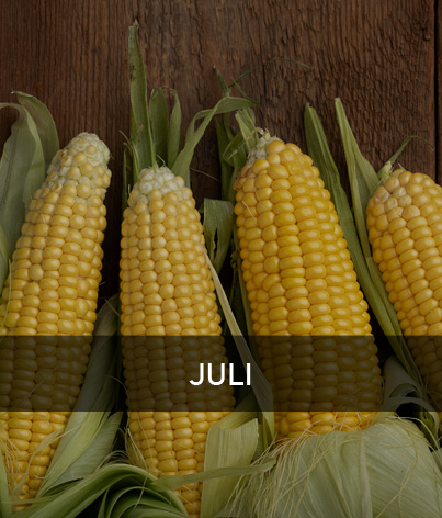 Leckerer Mais mit der Aufschrift Juli
