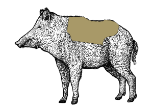 Eine Grafik vom Wildschwein, bei dem der Wildschweinrücken gekennzeichnet ist.