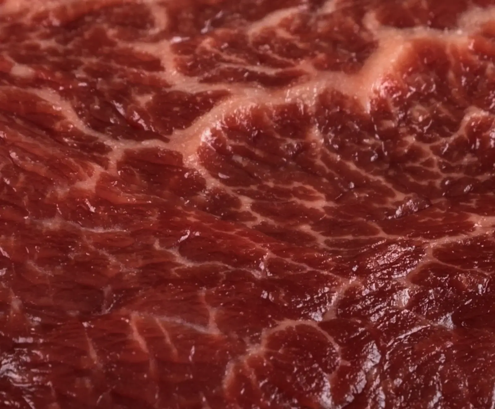 Txogitxu Filet Mignon 