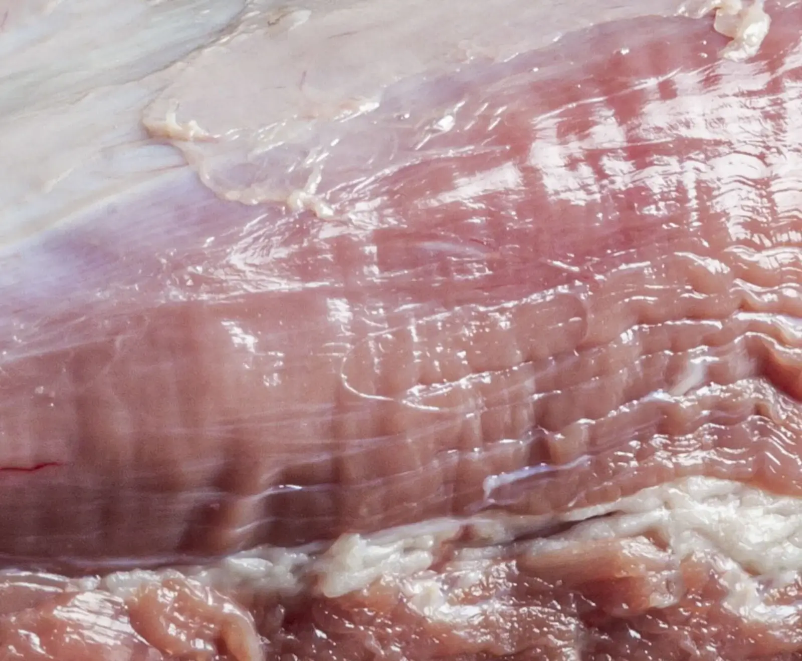 Niederländisches Kalbsfilet