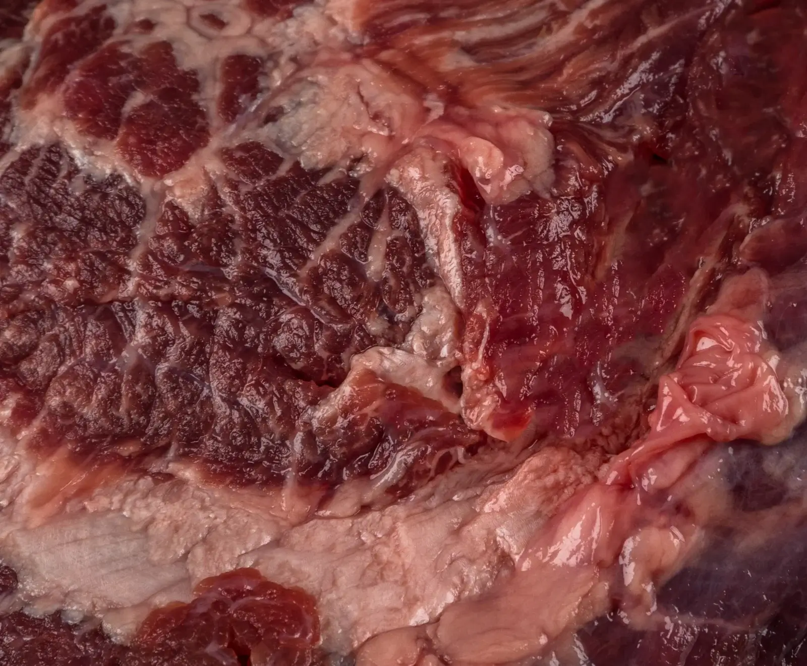 Nahaufnahme von rohem Fleisch, das dunkelrotes Muskelfleisch, hellrosa Fett und Bindegewebe mit glänzender Oberfläche zeigt.