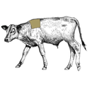 Vintage-Illustration einer Kuh mit Beschriftungen der verschiedenen Körperteile und Fleischstücke