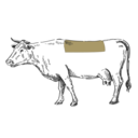 Grafik von einem Rind, wo das Txuleton eingezeichnet ist.