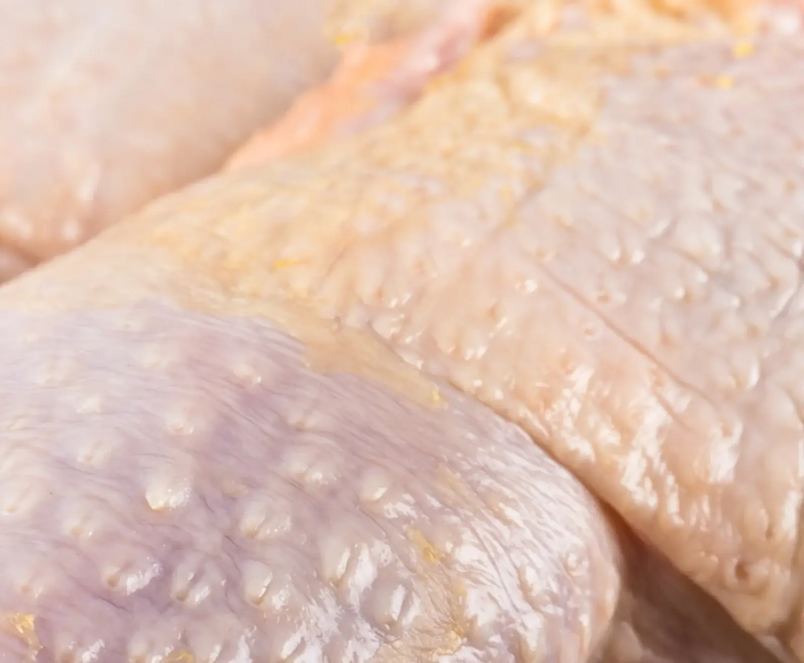 Nahaufnahme von roher Hähnchenhaut mit sichtbaren Federfollikeln und leicht gelblichen Fettablagerungen. Die Haut ist blassrosa und weißlich.