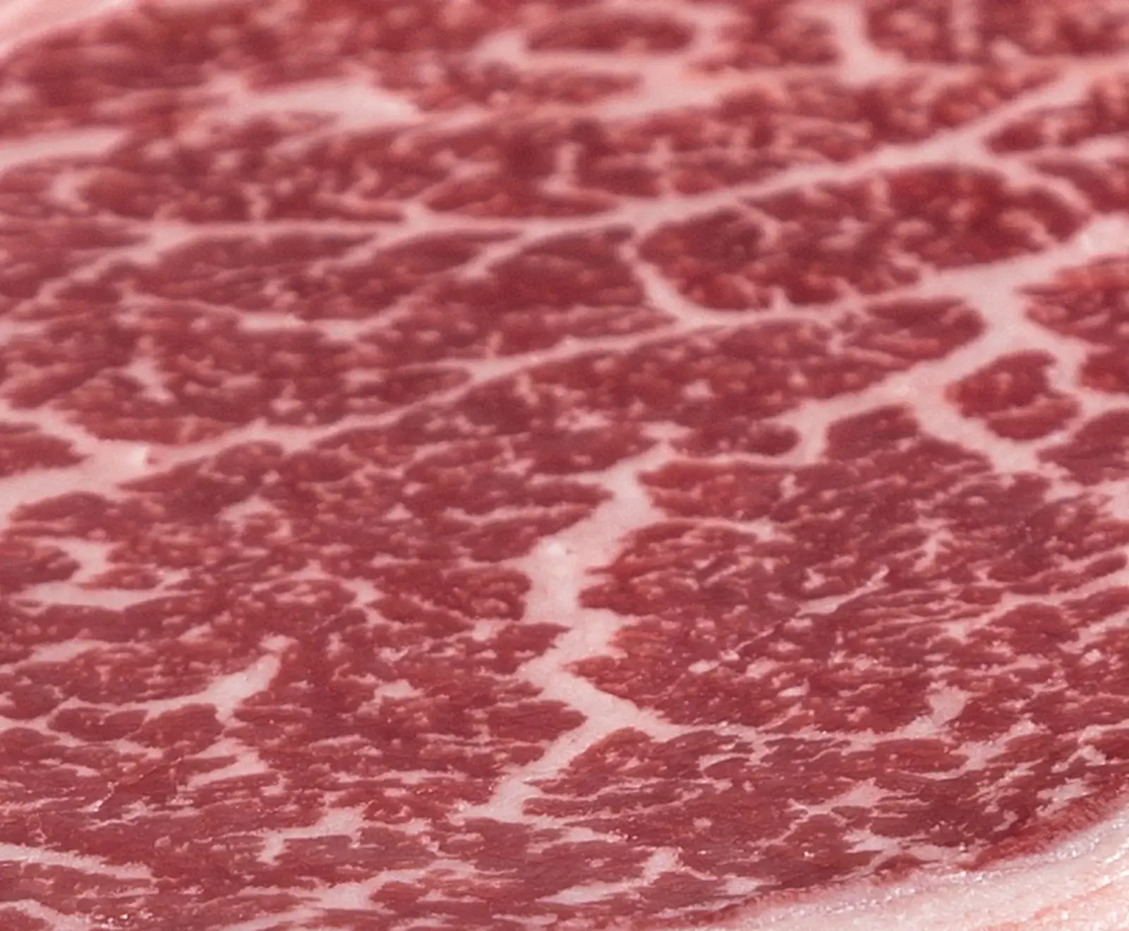 Japanisches Kobe Wagyu Filet