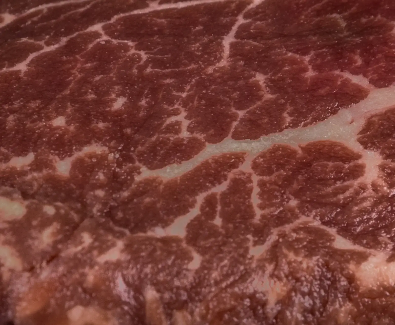Nahaufnahme von rohem Rindfleisch mit ausgeprägter, feiner Marmorierung aus weißem Fett, das sich netzartig durch das dunkelrote Muskelfleisch zieht. Ein Zeichen hoher Qualität und Zartheit.