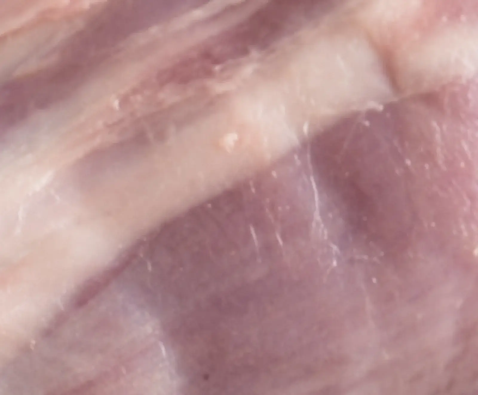 Nahaufnahme von rohem Fleisch mit rosa Muskelfasern und weißen Fettschichten, die diagonal verlaufen. Feine Texturen sind auf der Oberfläche sichtbar.