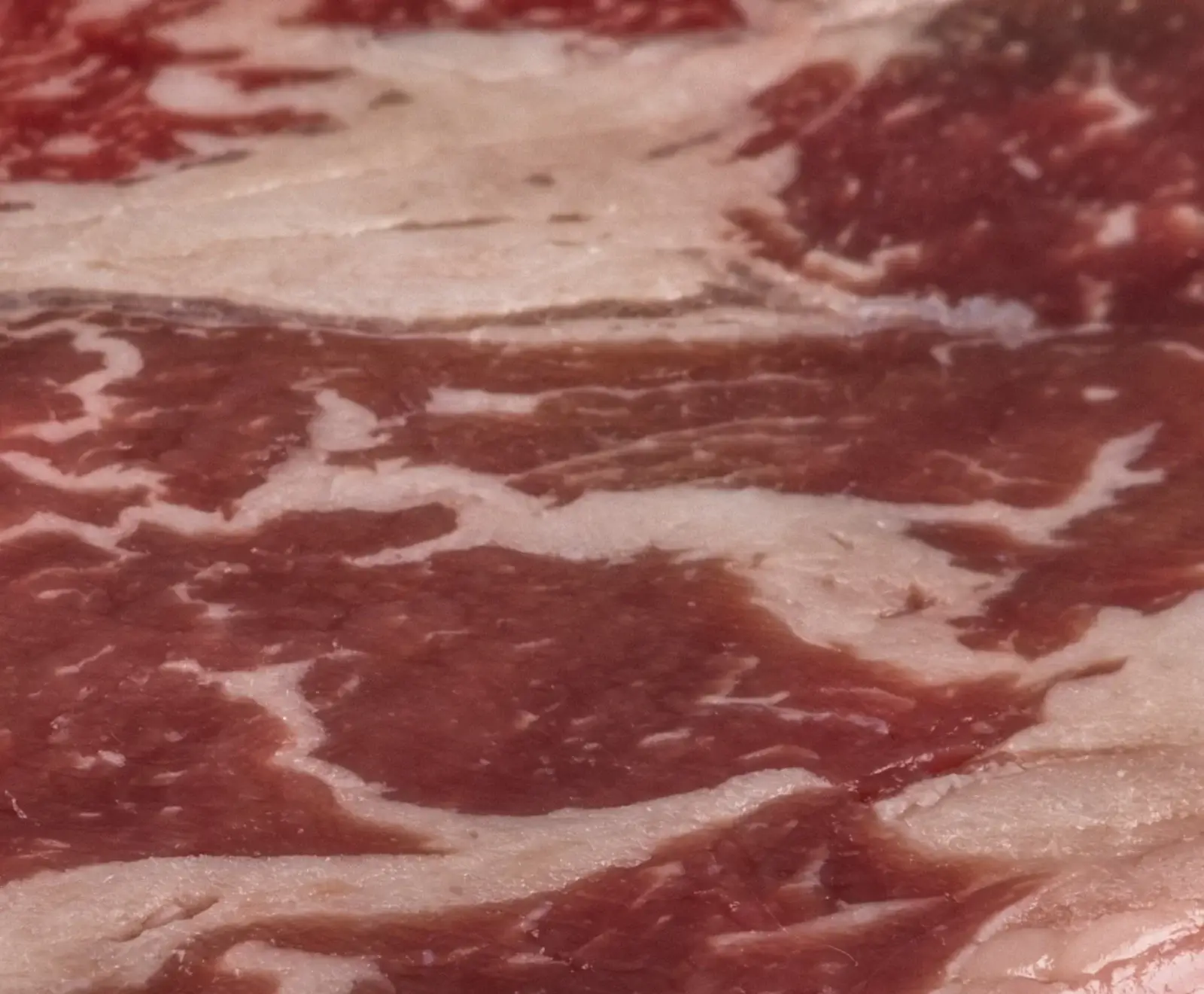 Uruguay INK Wagyu Rib Eye 