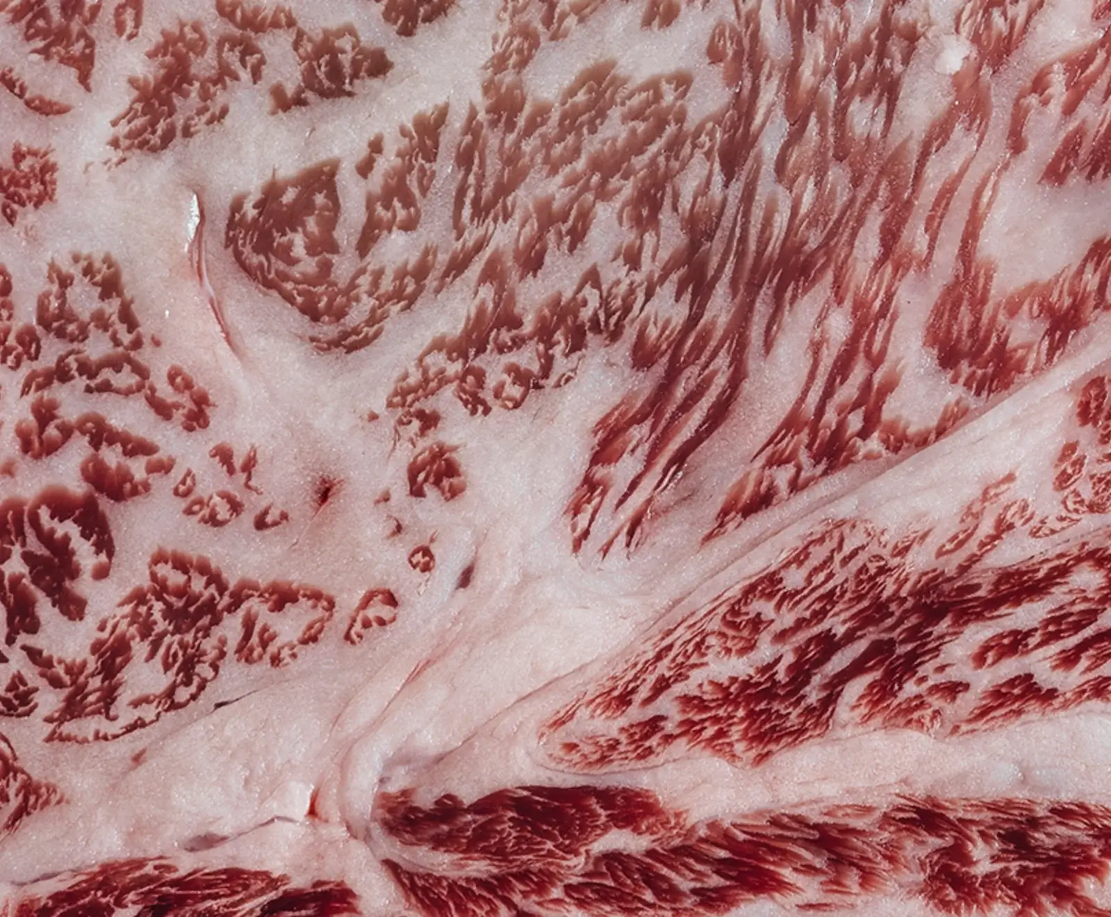 Jap. Wagyu Akune Gold Rib Eye Steak