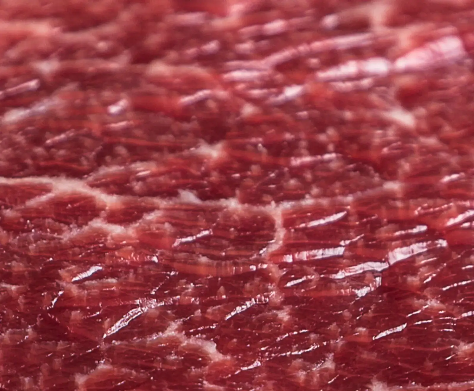 Txogitxu Filet Medaillon Galicien