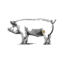 Pixelige Darstellung eines Wildschweins von der Seite, dunkelgrau mit grünlichen Akzenten und einem weißen Stoßzahn, auf dunkelgrünem Hintergrund.