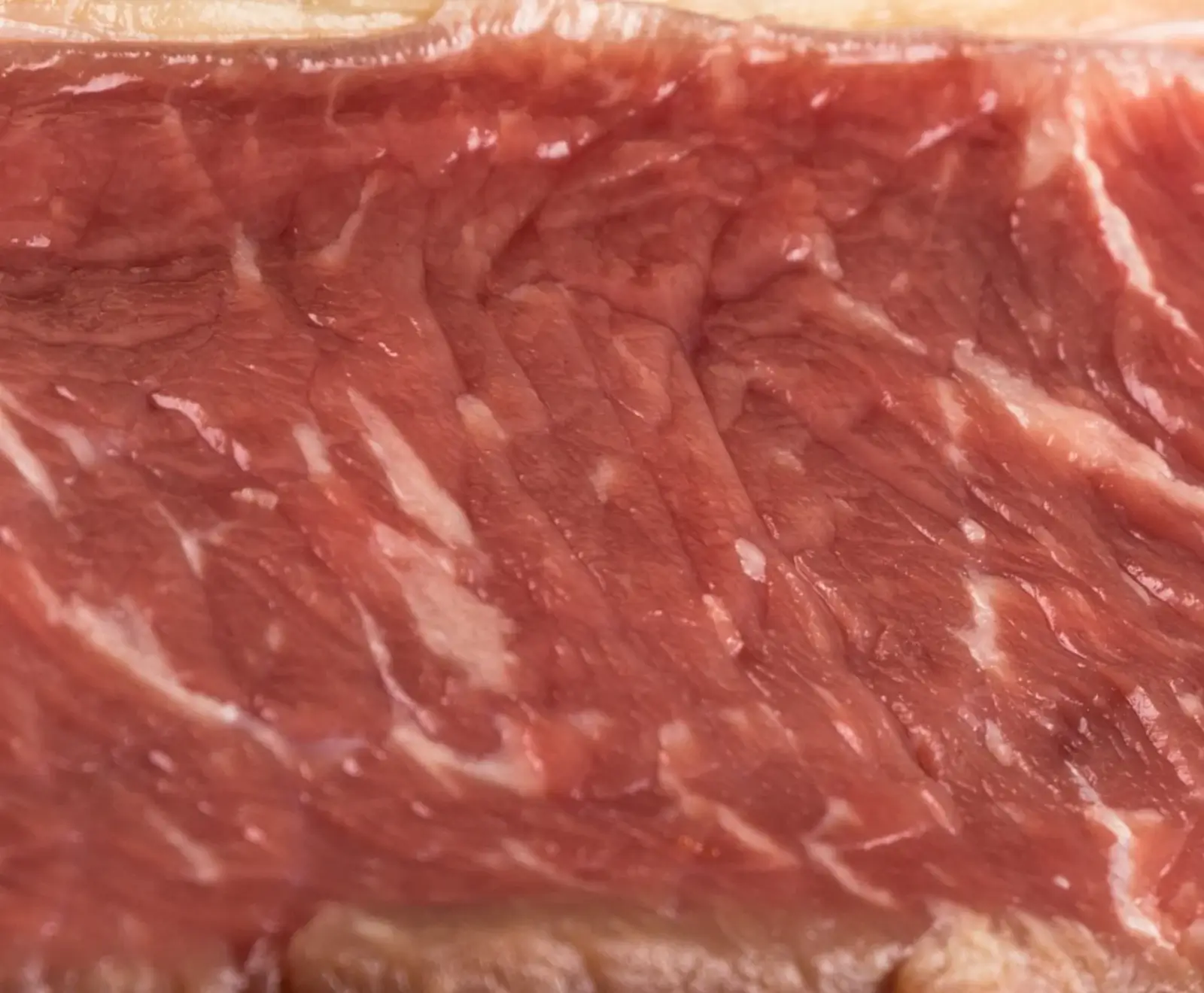 Deutsche Simmentaler Färse Dry Aged Roastbeef 