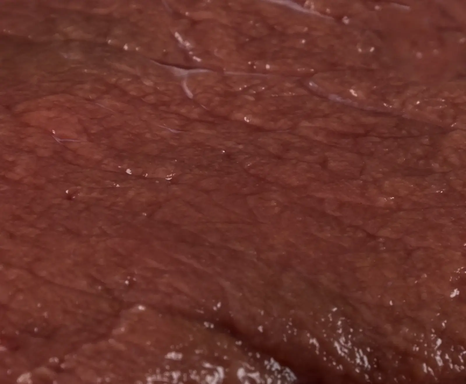 Nahaufnahme von rohem, dunkelrotem Fleisch mit glänzender, feuchter Oberfläche und feinen Texturen.