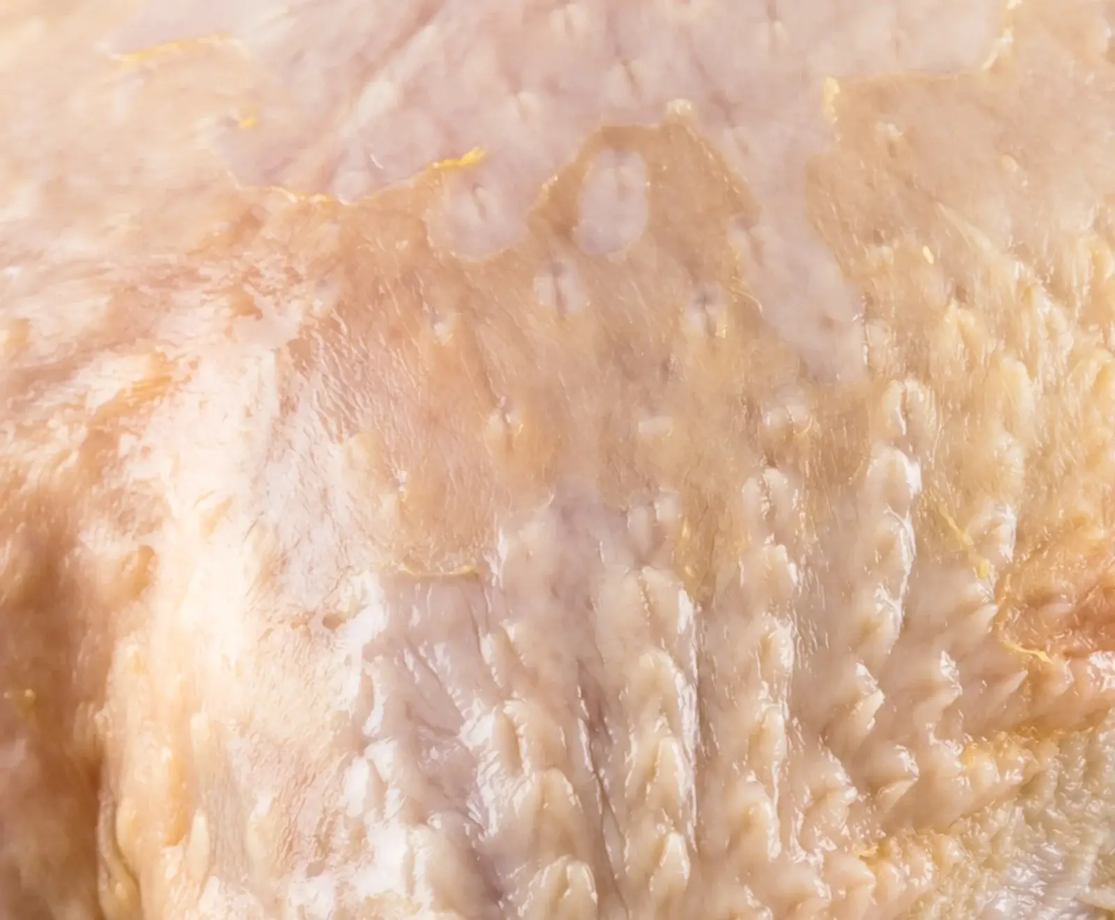 Nahaufnahme von roher Geflügelhaut, wahrscheinlich Huhn, mit unebener, blassrosa-beiger Textur, sichtbaren Poren und einigen gelblichen Fettablagerungen. Die Oberfläche wirkt leicht feucht.
