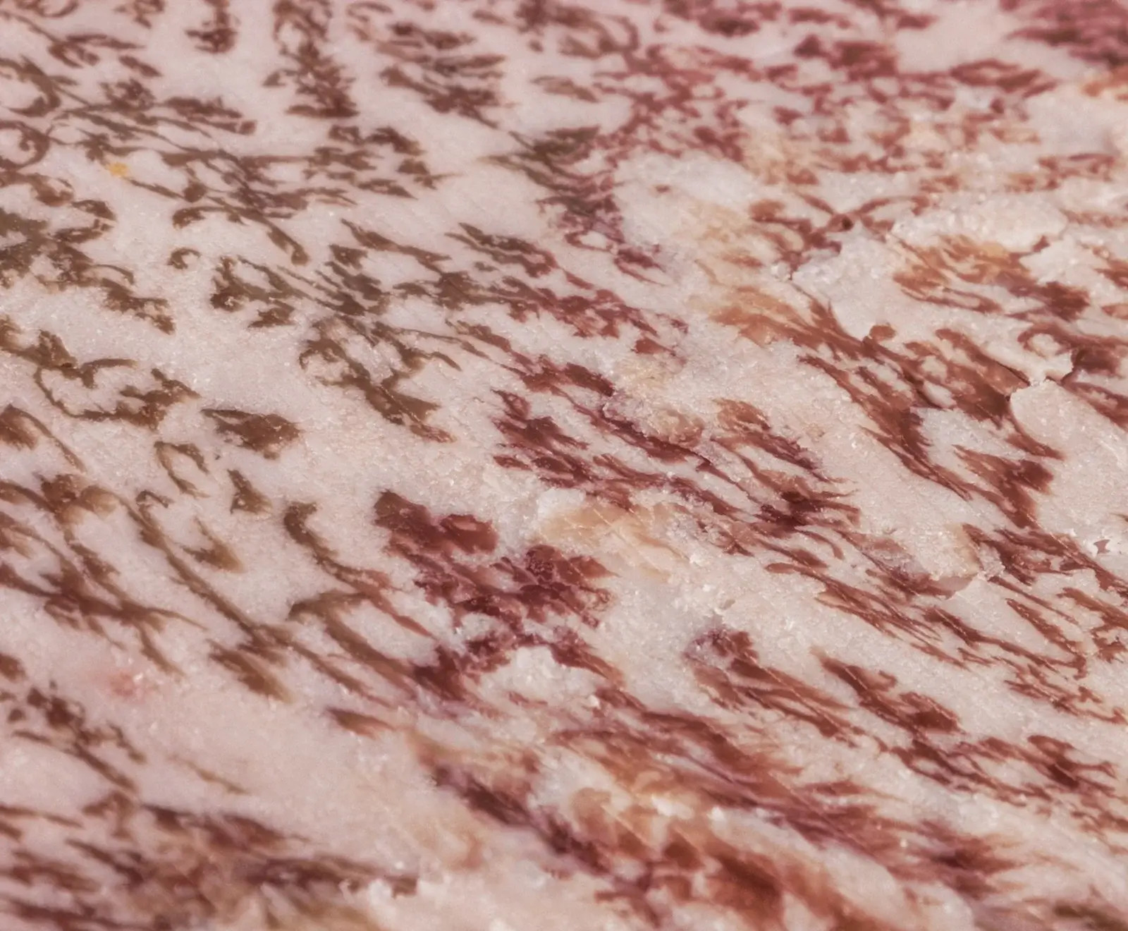 Nahaufnahme von stark marmoriertem Rindfleisch mit einem feinen, verzweigten Muster aus dunkelroten Muskelfasern und hellem Fett.