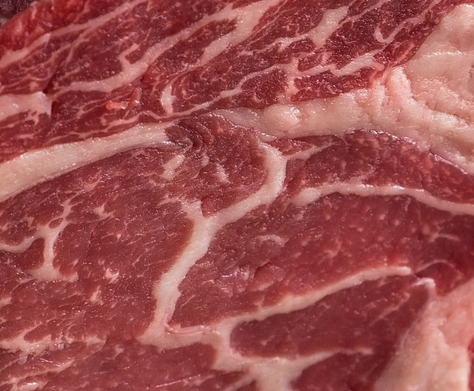 US Prime Rib Eye Creekstone Farms