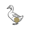 Grafik von einer Ente, wo die Keule eingezeichnet ist.
