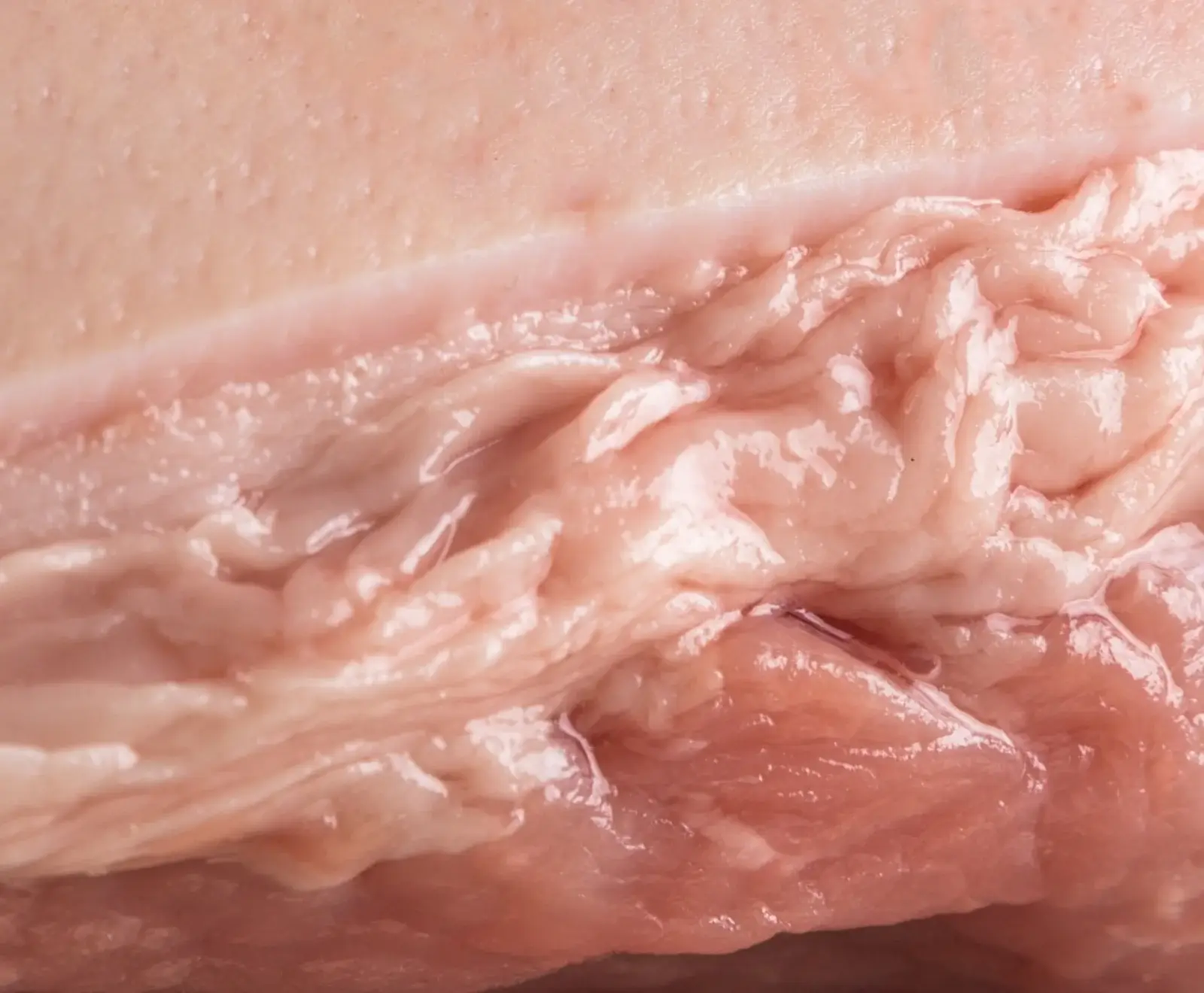 Niederrheinischer Duroc Krustenbraten