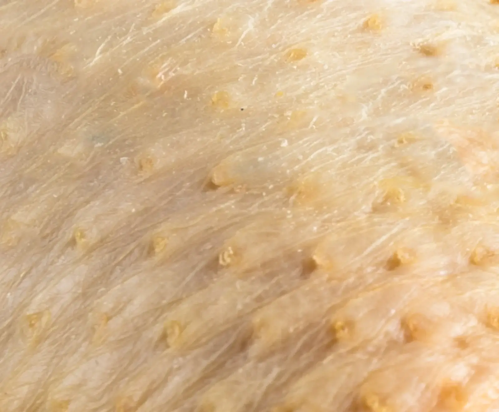 Nahaufnahme von roher Geflügelhaut mit sichtbaren Federfollikeln und feiner Textur in hellgelb-beigen Farbtönen.