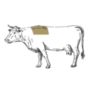 Grafik von einem Rind, wo das Rib Eye eingezeichnet ist.