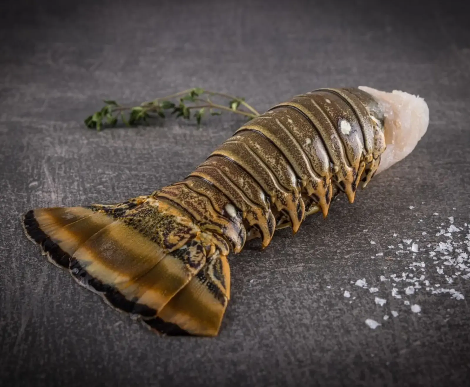 Karibischer Langustenschwanz