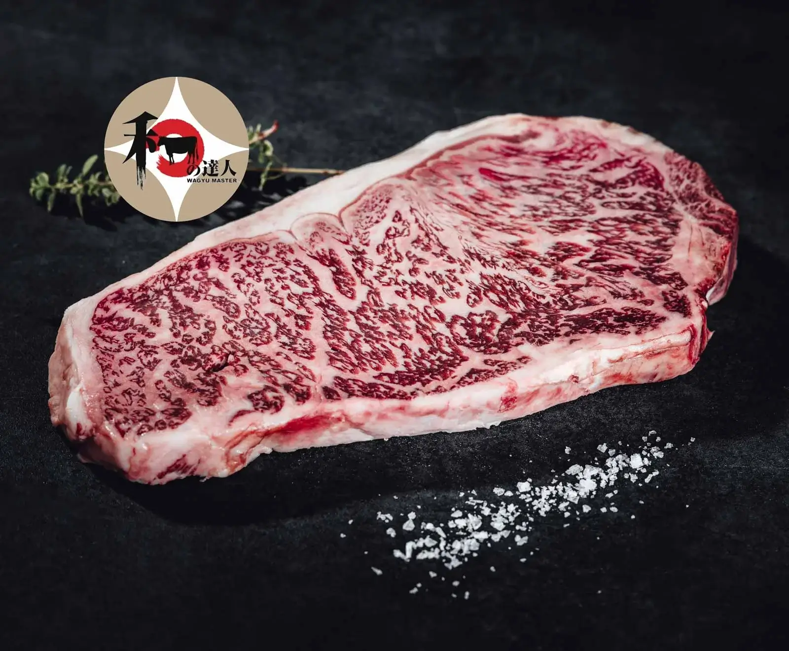 Rohes Wagyu-Steak mit starker Marmorierung auf dunklem Hintergrund, daneben Meersalzflocken und ein Kräuterzweig. Oben links ein "Wagyu Master"-Logo.