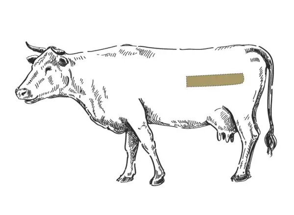 US Black Angus Filet Medaillon online kaufen | Don Carne