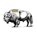 Grafik von einem Büffel, wo das Rib Eye eingezeichnet ist.