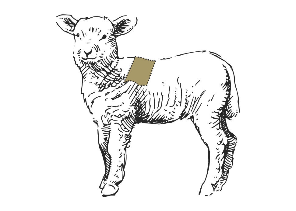 Strichzeichnung eines Lamms, bei dem der Halsbereich als beiges, gezacktes Rechteck hervorgehoben ist, um einen Fleischzuschnitt darzustellen.
