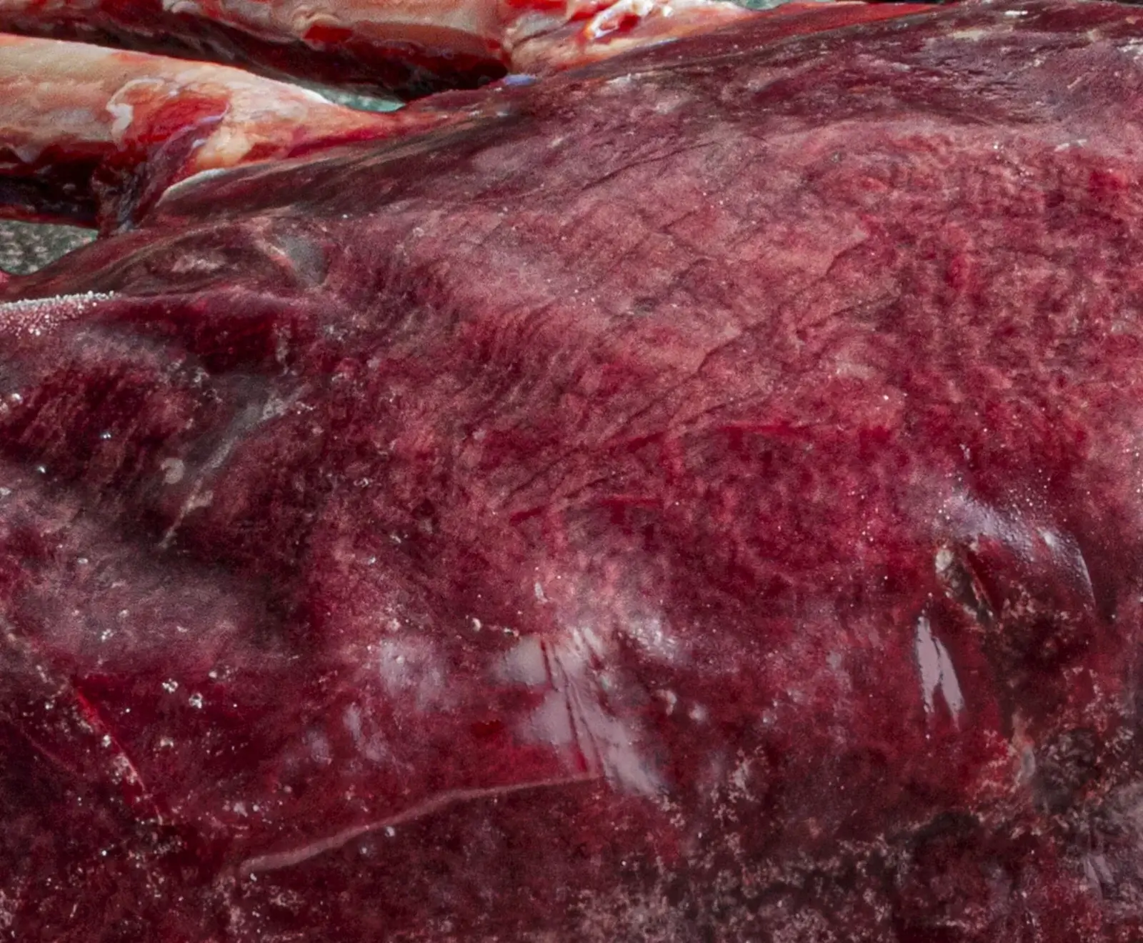 Nahaufnahme einer dunkelroten, gefrorenen oder sehr kalten rohen Leber oder eines Organs mit unregelmäßiger Oberfläche, hellen Eiskristallen und glänzenden, feuchten Stellen.