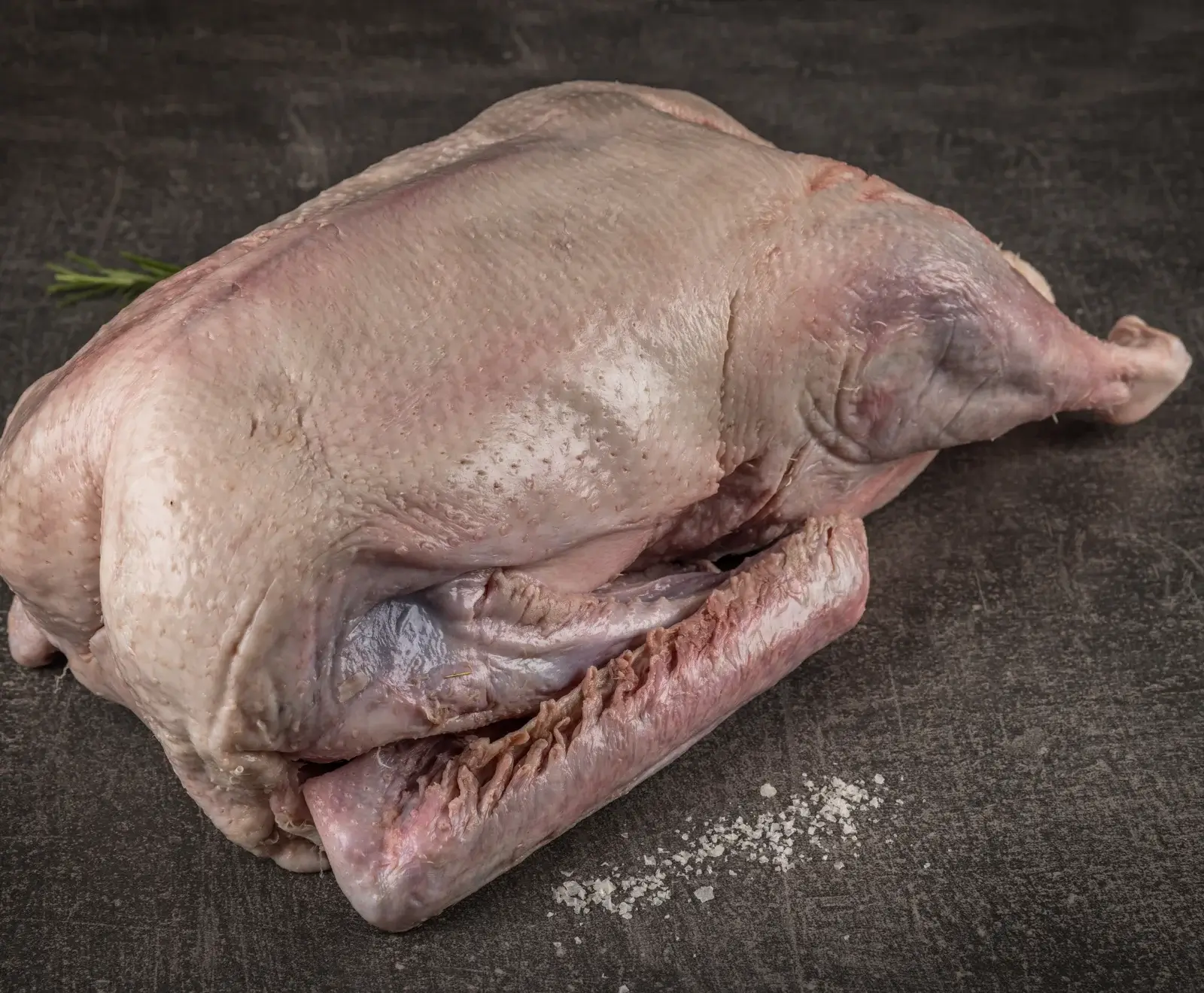 Rohe, gerupfte Ente auf dunklem Untergrund, bereit zur Zubereitung, mit einem Rosmarinzweig und grobem Salz daneben.