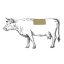 Grafik von einem Rind, wo das T-Bone Steak eingezeichnet ist.