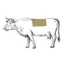 Grafik von einem Rind, wo das Porterhouse eingezeichnet ist.
