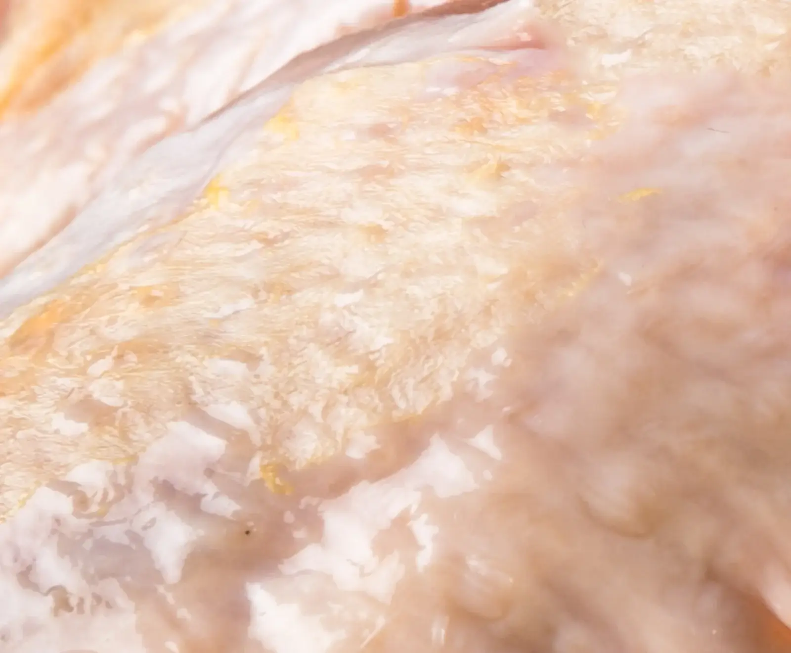 Nahaufnahme von roher Geflügelhaut, die eine unebene, feuchte Oberfläche mit hellgelben Fettablagerungen und feinen Poren zeigt.