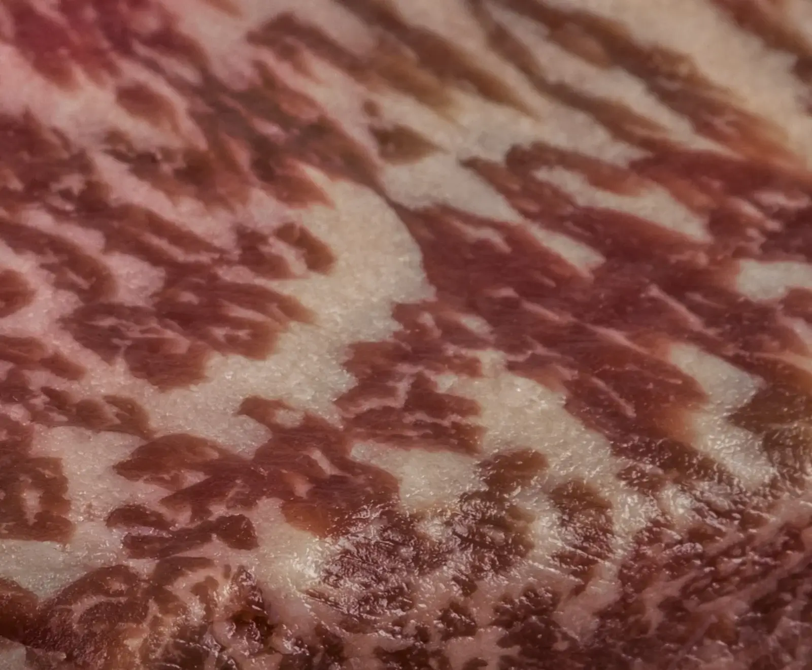 Nahaufnahme von rohem, stark marmoriertem Rindfleisch. Rote Muskelfasern sind von einem feinen, weißen Netz aus Fett durchzogen, das ein komplexes, zartes Muster bildet.