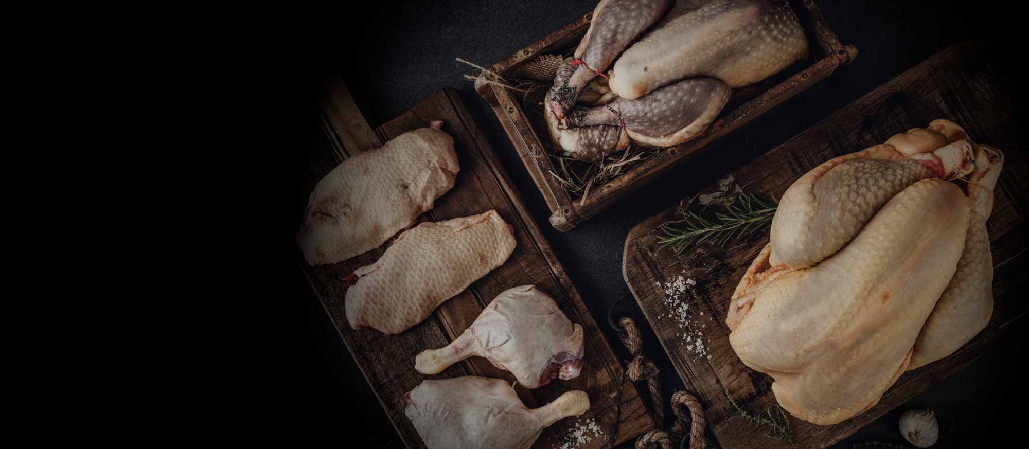 Rohes Geflügel: Entenbrüste und -schenkel auf Holzbrett, Perlhühner in Holzkiste, ganzes Hähnchen mit Rosmarin und Salz auf dunklem Untergrund.
