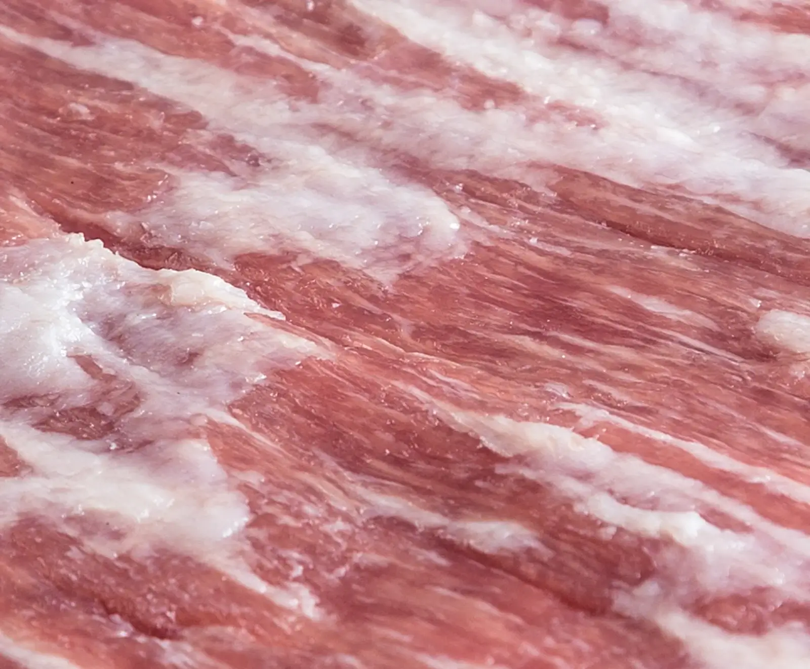 Nahaufnahme von rohem Fleisch mit abwechselnden Schichten von rotem Muskelfleisch und weißem Fett, die diagonal verlaufen. Die Oberfläche glänzt leicht.