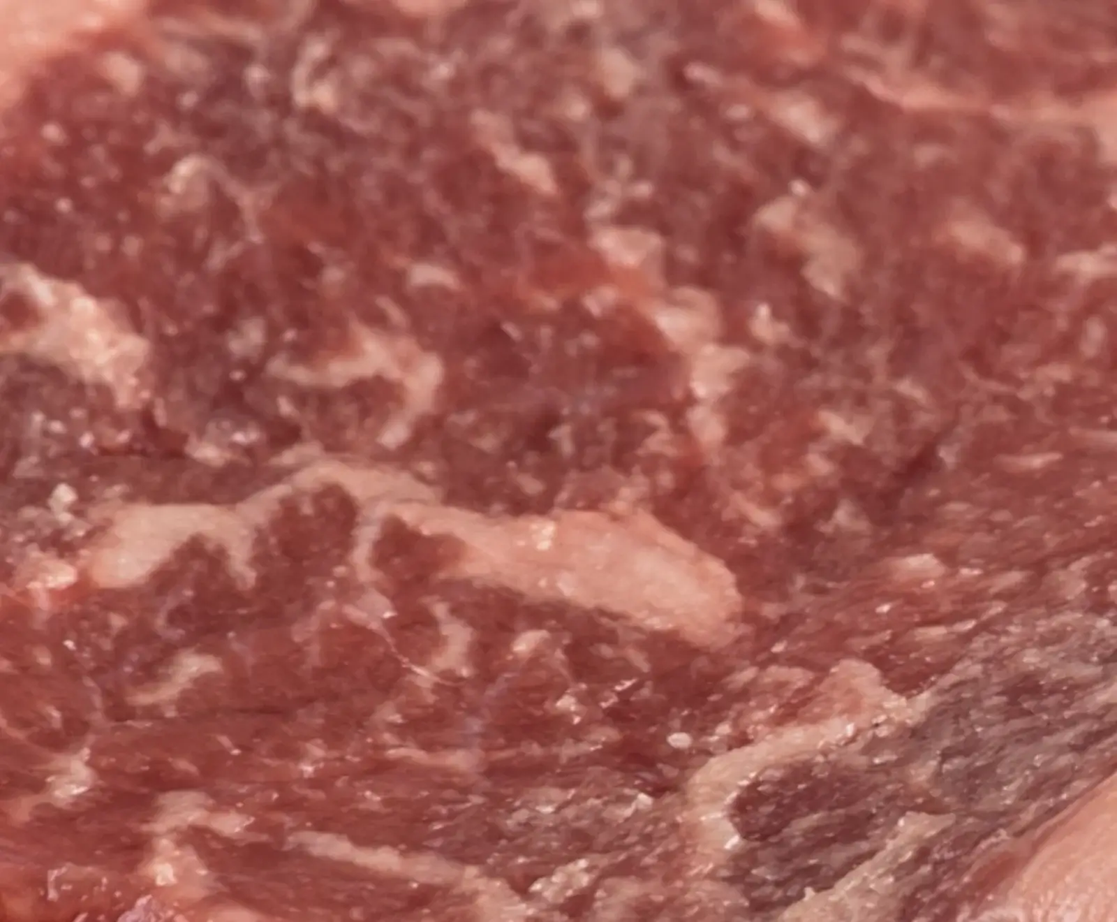 Deutsche Simmentaler Färse Dry Aged Tomahawk Steak