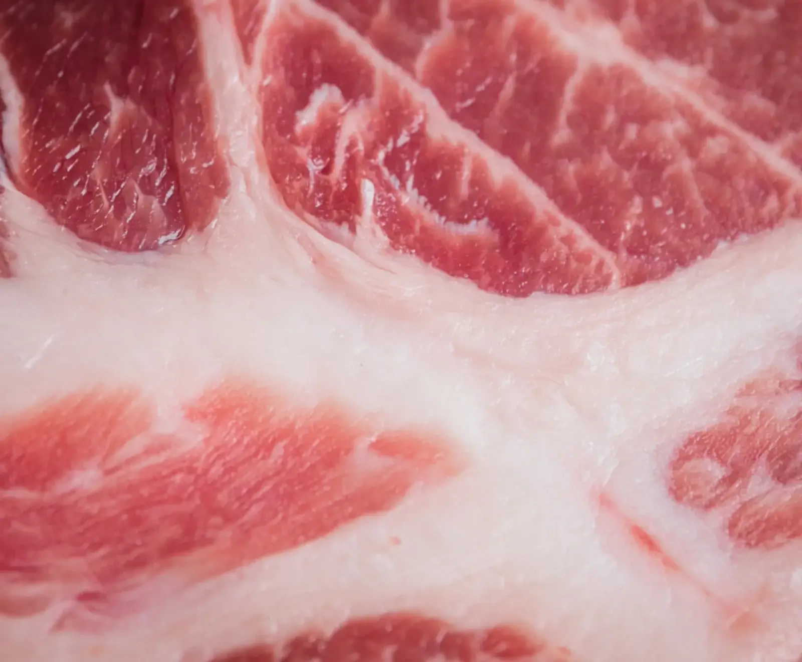 Spanische Iberico Nackensteaks 600 g - Premiumfleisch von Don Carne | Don Carne