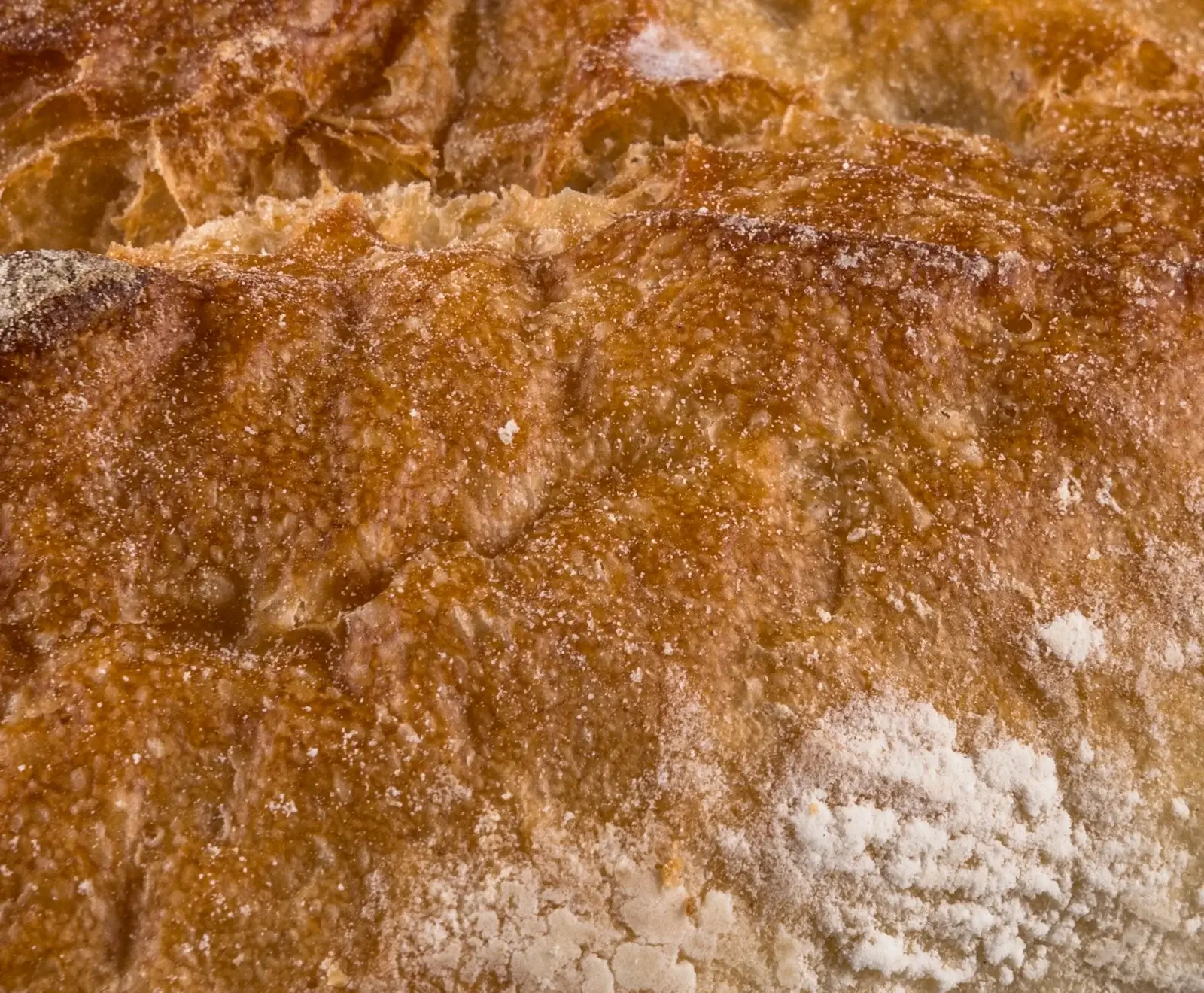 Nahaufnahme einer goldbraunen Brotkruste mit rauer, faltiger Textur und feinem weißen Mehlstaub, der sich besonders im unteren Bereich abzeichnet.