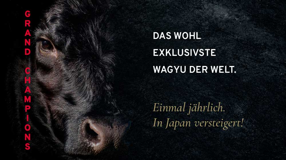 Nahaufnahme eines schwarzen Wagyu-Bullenkopfes, daneben ein goldener Champion-Gürtel. Text: "DAS WOHL EXKLUSIVSTE WAGYU DER WELT. EINMAL JÄHRLICH. IN JAPAN VERSTEIGERT!"