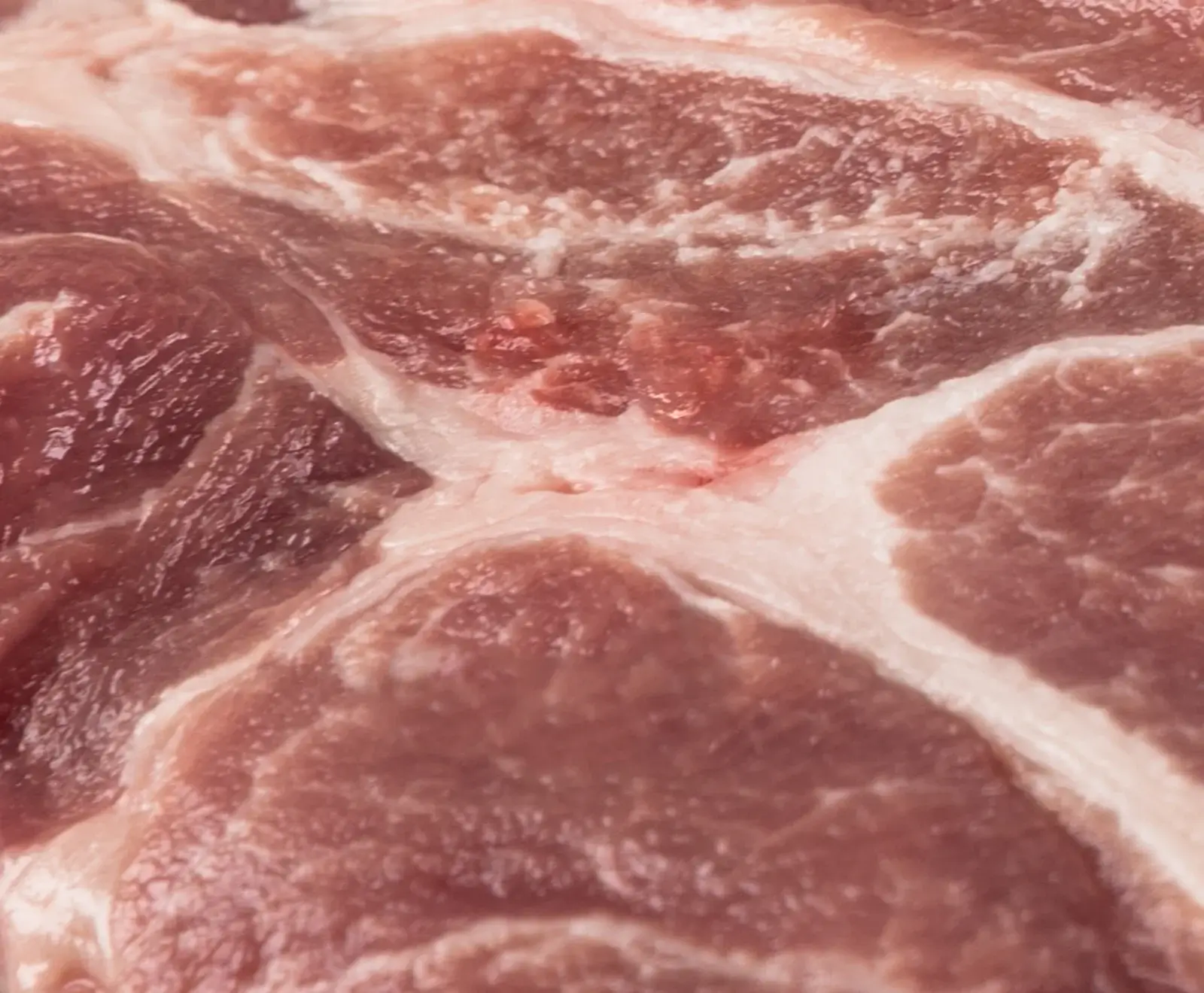 Nahaufnahme von rohem Schweinefleisch mit deutlicher Marmorierung aus roten Muskelfasern und weißen Fettadern, bereit zur Zubereitung.