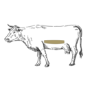 Grafik von einem Rind, wo das Flank Steak eingezeichnet ist.