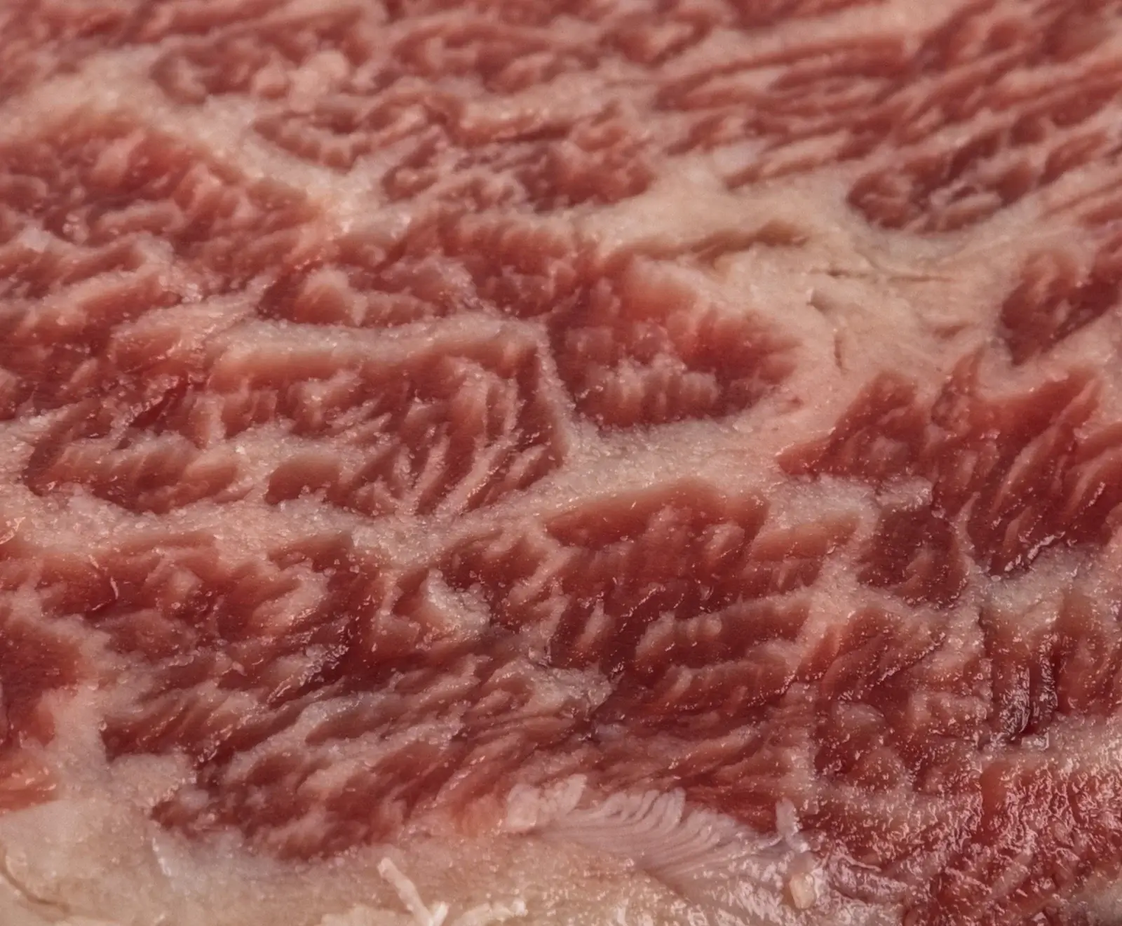 Australisches Wagyu Stone Axe Flap Steak