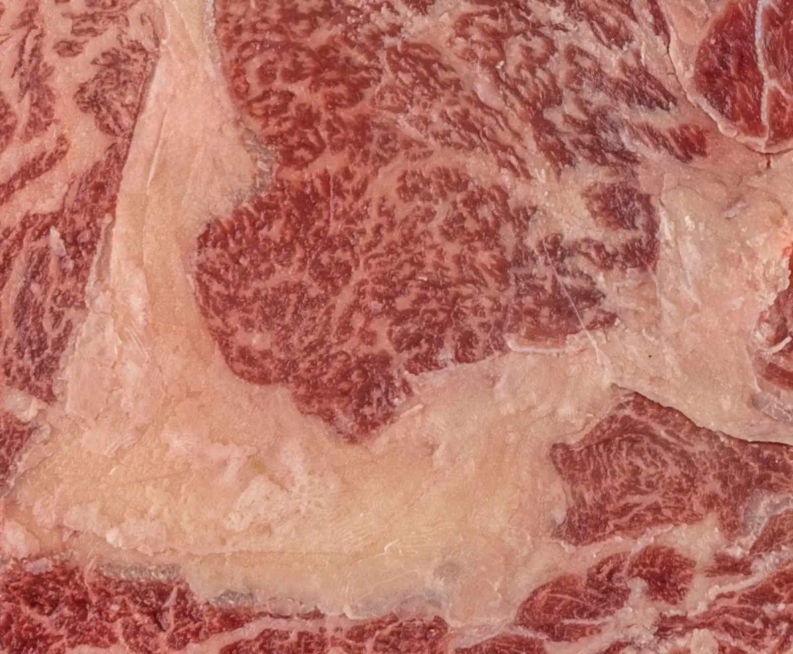 Nahaufnahme von rohem, stark marmoriertem Rindfleisch, bei dem sich rotes Muskelfleisch und weißes Fett in einem komplexen, feinen Muster durchziehen.