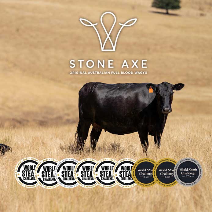 Australisches Stone Axe Rind auf Weide