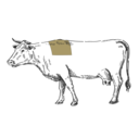 Grafik von einem Rind, wo das Tomahawk eingezeichnet ist.