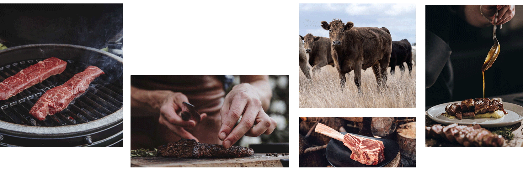 Eine Collage aus frischem Fleisch, Tieren in freier Wildbahn und lecker zubereiteten Rezepten.
